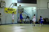 Basket C321034